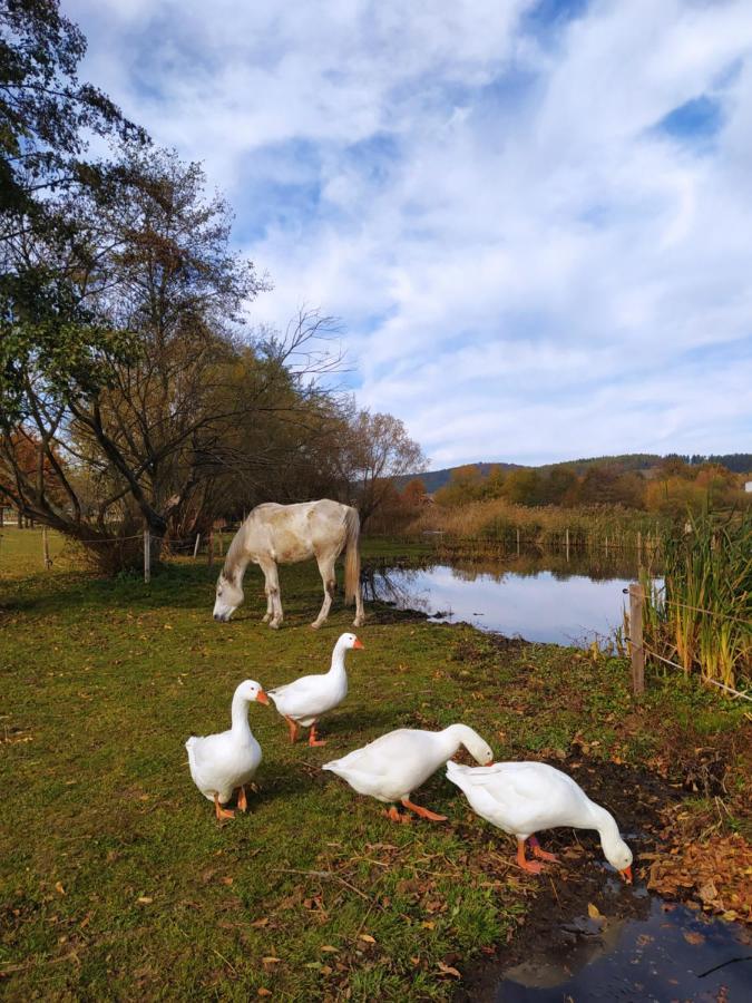 Podkrovni Apartman Pololan U Rybnika Nova Ves  Экстерьер фото